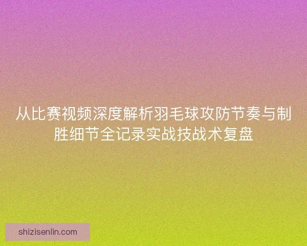 从比赛视频深度解析羽毛球攻防节奏与制胜细节全记录实战技战术复盘